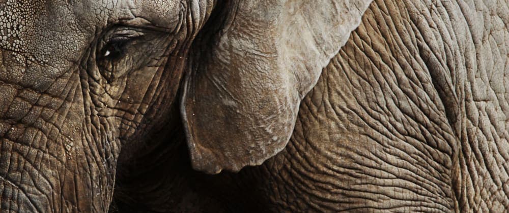 PostgreSQL - Partitioning & Inheritance